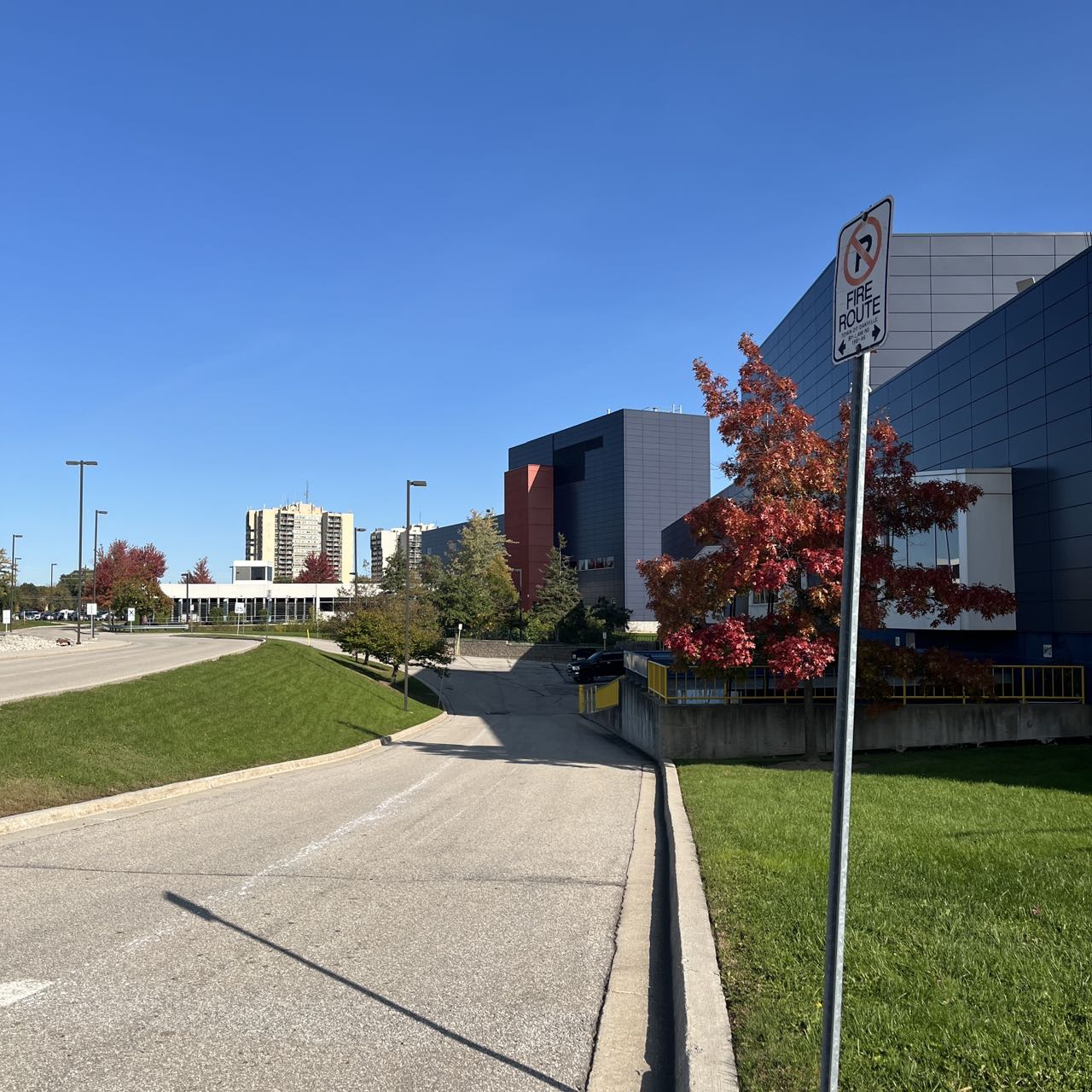 Sheridan School Outdoor Viewing